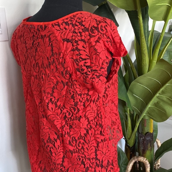 Patterson J. Kinkaid Lace Top - Picture 5 of 6